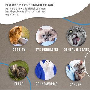 Teste combinado FIV Ab /<span class=keywords><strong>FELV</strong></span> <span class=keywords><strong>Ag</strong></span>/ Giardia para veterinária - Product Image 2