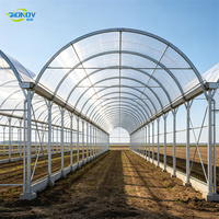 Serre agricole professionnelle multi-travées en film CE, tunnel en acier galvanisé avec refroidissement par ventilateur