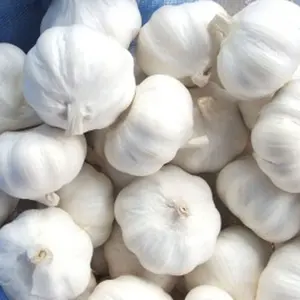 fresh red garlic price/jining china fresh pure white garlic