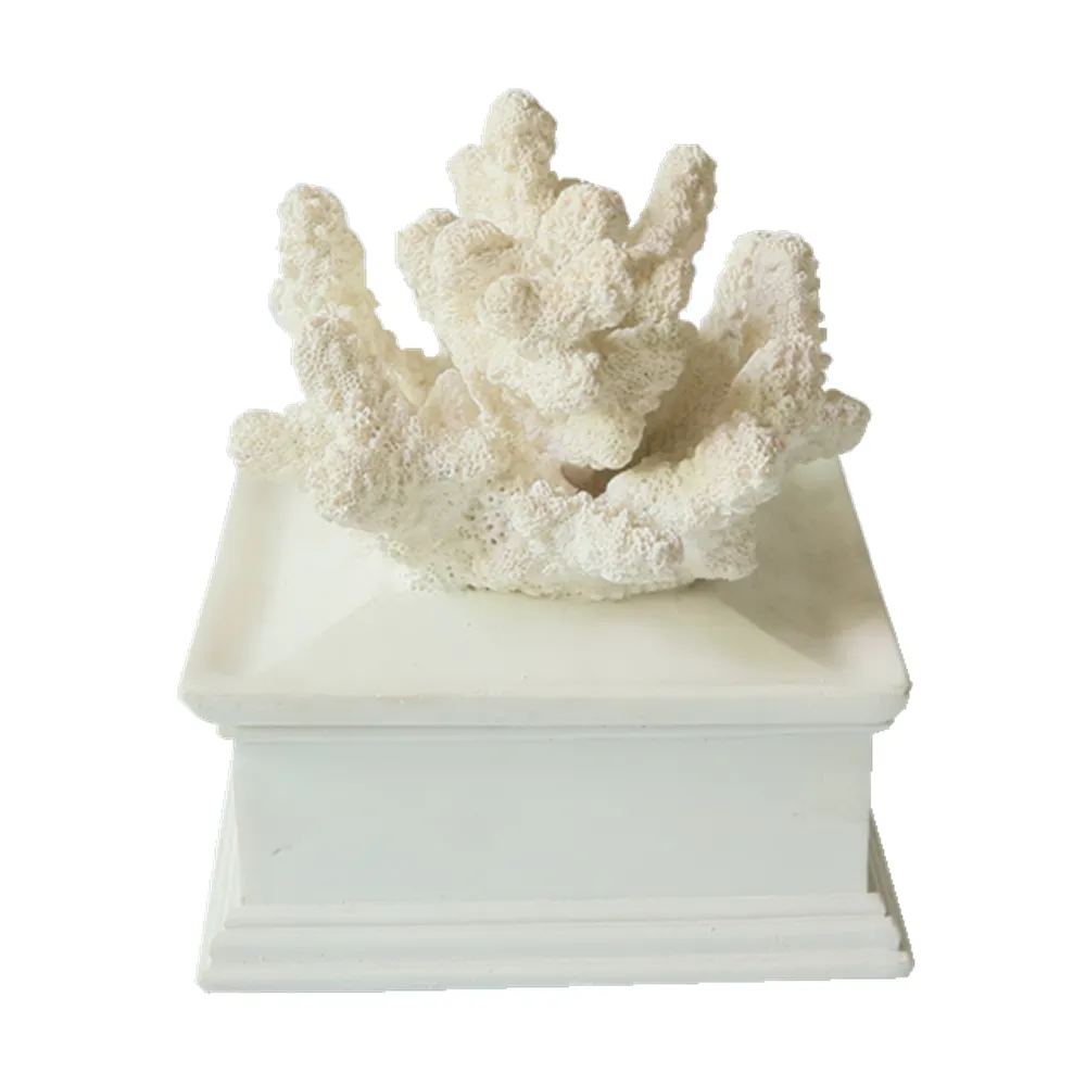 Контейнер из полимерного коралла для поделок, Белый коралл, 5,5 дюйма, крышка из полимерного коралла и Подарочная коробка, шкатулка для украшений из белого коралла, настольное украшение