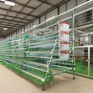 Gabbia Automatica di Nuova Concezione Moderna per Galline Ovaiole, Capacità 5000 Polli, per Allevamento Avicolo a Prezzo di Fabbrica - Product Image 4