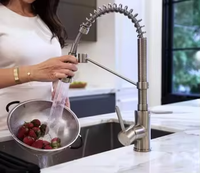 Meilleur robinet de cuisine commercial à double fonction de 18 pouces de la boutique en ligne Robinet simple poignée Finition de la tête de pulvérisation Robinet simple mural en céramique