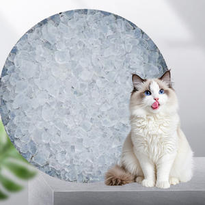 Meistverkauftes Silica-Gel-Katzenstreu Biologisch Abbaubar Hochabsorbierend Mit Starker Geruchskontrolle OEM/ODM Kristall-Silikon-Katzenstreu - Product Image 2