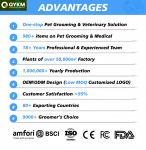 Gabbia per Allevamento Cani Personalizzata Resistente <span class=keywords><strong>2026</strong></span>, Kennel Commerciale in Acciaio Inox per Cliniche Veterinarie e Vari Ambienti - Product Image 5