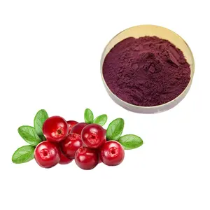 Cranberry Fruit Powder Cranberry Extract Powder Cranberry Powder