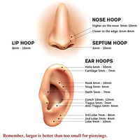 Anneau clicker segmenté articulé sans soudure en acier inoxydable 316L doré/plaqué or pour nez, septum, hélix, boucles d'oreilles femme/homme