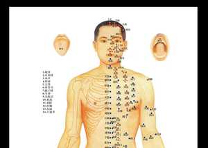 Cartes d'<span class=keywords><strong>acupuncture</strong></span> médicale chinoise claires, points, corps humain, carte des méridiens des points d'<span class=keywords><strong>acupuncture</strong></span> - Product Image 3