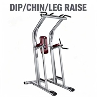 Offre Spéciale : Station Commerciale Multifonctionnelle pour Tractions, Abdominaux, Relevé de Jambes et Musculation du Torse et du Dos – Équipement de Force pour Salle de Sport – Direct Usine