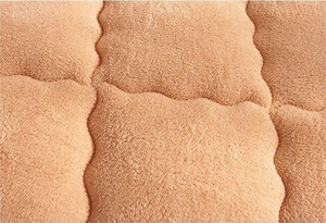 Nhà Máy Cung Cấp Trực Tiếp Dày Mùa Đông Chăn Cừu Của Len Lõi Đôi Mùa Xuân Ấm Áp Duy Nhất Sinh Viên Ký Túc Xá Comforter Bán Buôn - Product Image 4