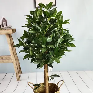 Make Fake Laurel Topiary Plant Bonsai Wholesale Plastic Home and Garden Decoration Artificial Sweet Bay Tre