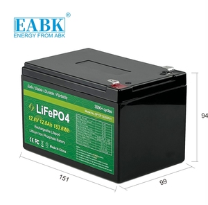 Özelleştirilmiş güneş elektrikli bisikletler güç araçları bebek oyuncakları evrensel lityum şarj edilebilir 24V 36V 12V LiFePO4 LiFePO4 UPS pili - Product Image 2