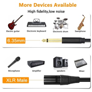 Nhà Máy Tùy Chỉnh Thiết Kế 3 Pins Nam Xlr Để 6.35Mm Nam Bảng Điều Chỉnh Núi Âm Thanh Kết Nối Ổ Cắm <span class=keywords><strong>Microphone</strong></span> Kết Nối Mic Xlr Cáp - Product Image 2