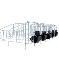 Équipement de ferme porcine professionnel de belle qualité positionnement colonne de limite de porc porcs caisses de gestation Cages pour animaux