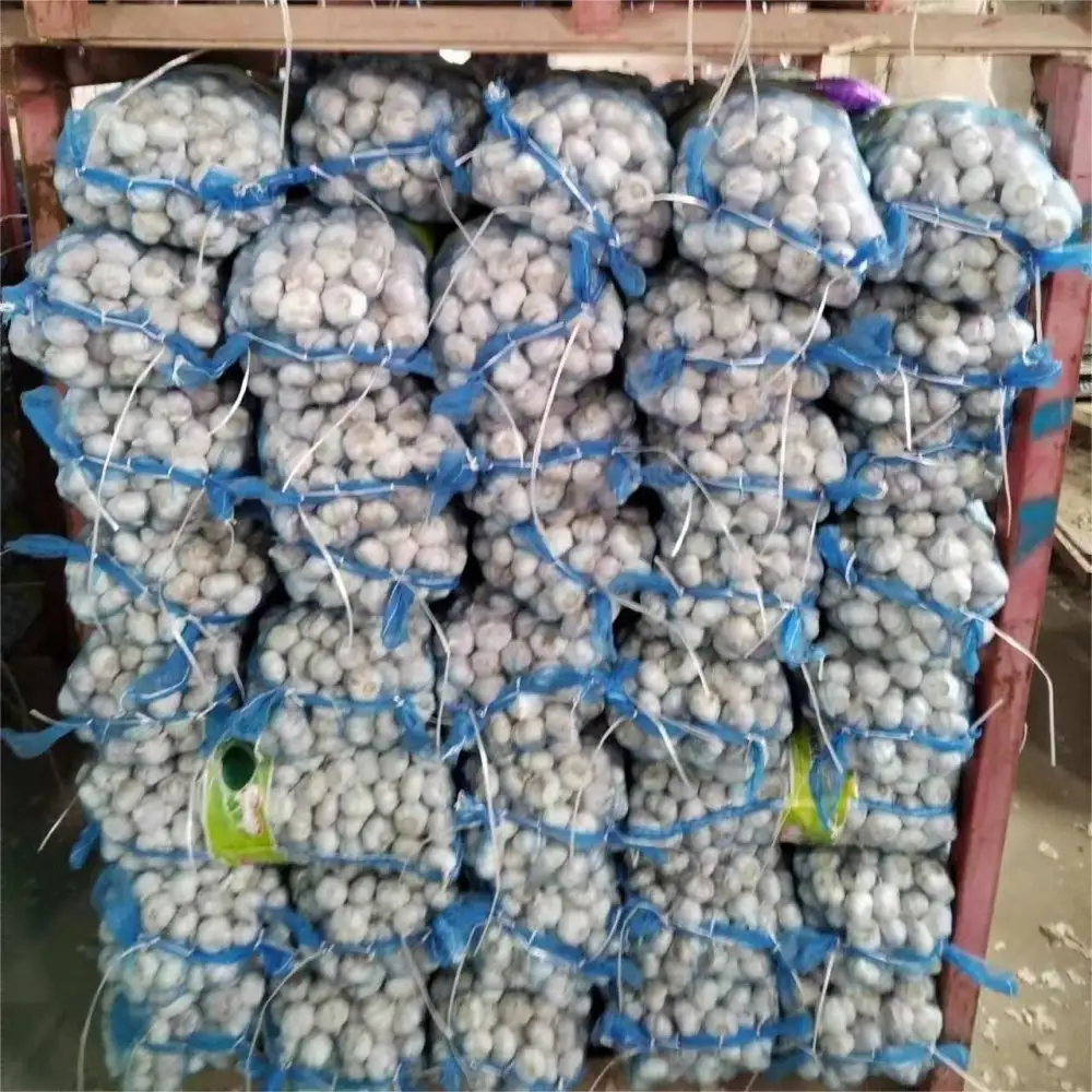 5KG/MESH BAG Chinese fresh garlic normal white garlic to export at a low wholesale price