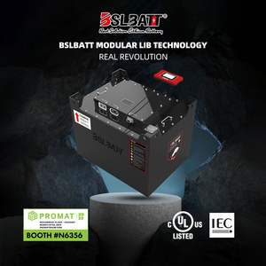 Paquete de batería BSSLBATT LiFePO4 48V 300ah Montacargas para batería de litio Yale 48V - Product Image 6