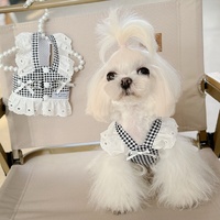 Robe en dentelle pour chien, vêtements d'été de luxe pour animaux de compagnie, petit harnais pour chien avec laisses assorties