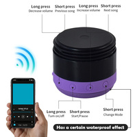 Botol Air Speaker 25oz dengan Logo Kustom, Layar Display, Lapisan Ganda Stainless Steel Berlapis Bubuk, dan Vakum Terisolasi