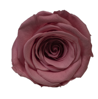 UKIQUEEN Kuncup Bunga Abadi Infinity Tahan Lama Selamanya, Mawar Asli Diawetkan dalam Kotak untuk Hadiah Hari Valentine