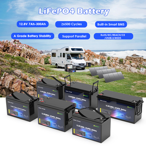 Batterie de stockage solaire à décharge profonde pour kayak de pêche marine 12V 20Ah 40Ah 50Ah 80Ah LFP1250 12V 20Ah - Product Image 6