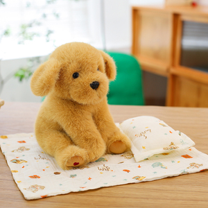 Peluche chiot mignonne avec couverture, jouet en peluche chien super doux, vente en gros et au <span class=keywords><strong>d</strong></span>étail, compagnon Wangwang, <span class=keywords><strong>jouets</strong></span> créatifs pour enfants - Product Image 4