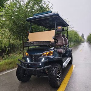 Produits les plus vendus : Voiturette de golf/chariot de club de tourisme la plus vendue avec moteur 5 kW certifié CE - Product Image 2