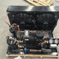 Unité de réfrigération OEM en forme de H à piston unique, refroidie par air, pour système de condensation de stockage frigorifique à basse température