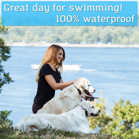 Ferngesteuertes Hundetrainer-Halsband Wasserdicht mit Vibrations- und Schockfunktion für Professionelles Welpenverhalten-Korrekturtraining