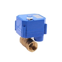 CWX-25S Mini actionneur électrique moteur vanne 5V 12V 24V 110V 220V 2 voies Mini vanne électrique