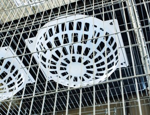 Cage pour pigeons voyageurs, cages pour animaux - Product Image 6