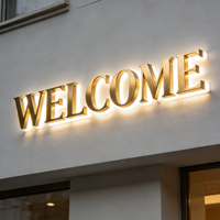 Lettres en relief 3D lumineuses personnalisées avec rétroéclairage LED, enseignes lumineuses pour les entreprises, les magasins, les parcs - Acier inoxydable et acrylique