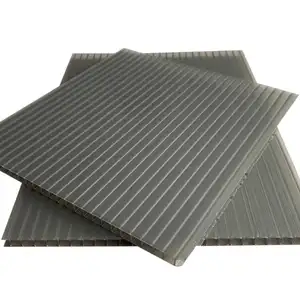 Materiale del soffitto insonorizzato in policarbonato foglio solido per lucernario serra Carport tenda tetto protezione UV