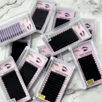 Extensions de cils pré-faites volume 0.07mm, éventails de cils faits main denses, volume russe courbure C, extensions de cils individuelles pour salon