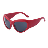 Lunettes de soleil sport UV400 Y2K résistantes au vent pour le cyclisme et les activités de plein air – Style et protection