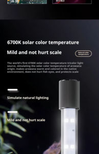 현대 친환경 LED 수족관 조명 녹색 빨간색 해양 조명 물 사용 물고기 탱크 수족관 액세서리 청소 도구 - Product Image 5