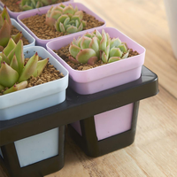 Plateau de 12 alvéoles rectangulaires pour semis, en plastique, avec réservoir d'eau, support pour plantes succulentes, grille fixe pour pots de 7x8 cm, noir et blanc