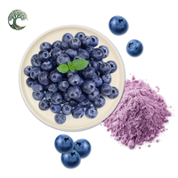 Poudre d'extrait de fruits de myrtille séchés 100 % naturelle de qualité alimentaire en vrac, en bouteille ou en récipient en verre