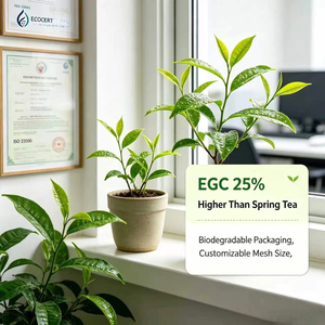Extrait de thé vert 10:1 20:1, polyphénols de thé 50%-98%, EGCG 50% testé HPLC, vente en gros, OEM, ODM, directement de l'usine - Product Image 6
