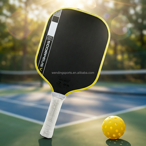 Pala de Pickleball Pro V de Carbono Crudo de 14 mm Gen5 con Control de Cara Ancha y Mango Extendido - Product Image 1
