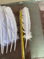 Plume de dinde teinte en gros pour bricolage coiffure de fête de carnaval chapeau accessoire de costume de cheveux décor floral de maison de mariage