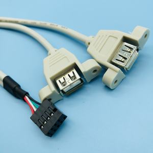 Scheda madre A <span class=keywords><strong>2</strong></span> USB femmina 9 Pin Header femmina A doppio USB A cavo Splitter - Product Image 1