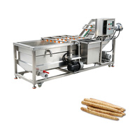 Machine de lavage et séchage automatique à bulles vortex pour fruits et légumes, séparateur de pulpe et de graines à double batteur pour usine de transformation