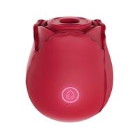 Rosen-Klitoris-Sauger mit 10 Saugmodi Vibrator Sexspielzeug für Frauen Nippel-Sexspielzeug für Damen