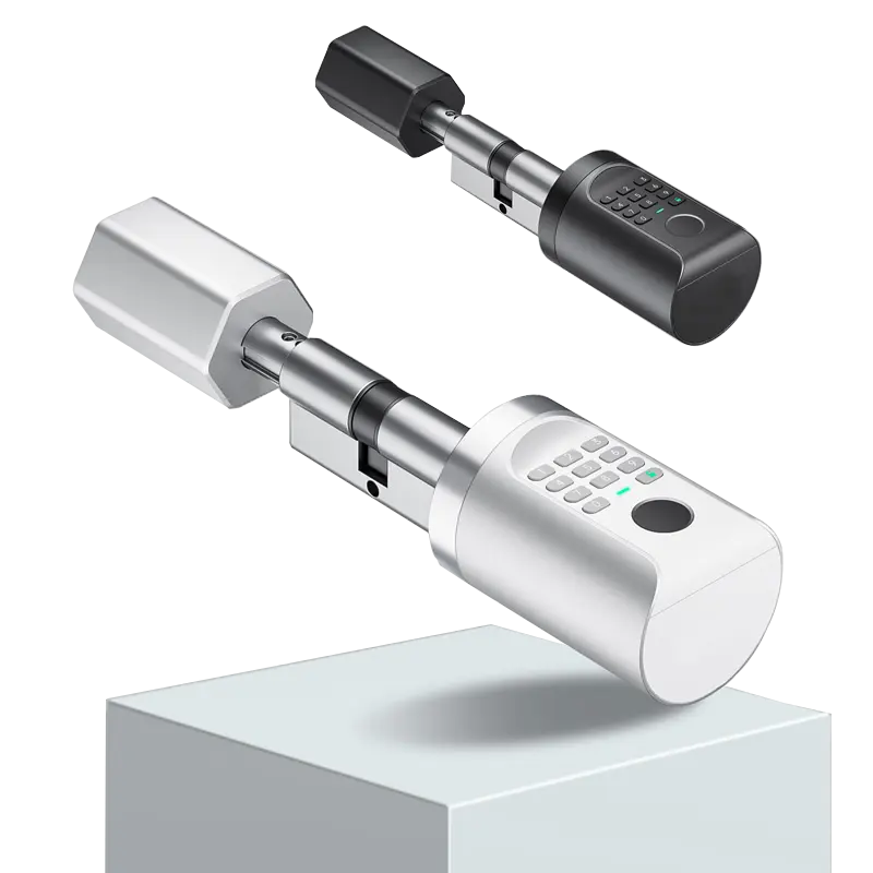 Biometrischer Fingerabdruck-Kartencode-Schlüssel Tuya C2E Fernbedienung intelligentes Zylinder-Türschloss elektronische Türschlösser