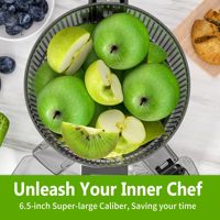 Commerciële Multifunctionele Sap Machine Voor Fruit Groenten Grote Mond Koude Pers Kauwen Elektrische Slow Juicer