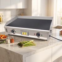 Plaque de cuisson électrique professionnelle, gril polyvalent pour stand de rue, idéal pour le riz frit, les nouilles froides et les crêpes aux œufs