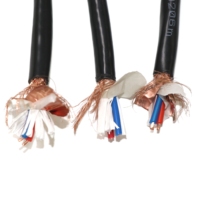 Câble d'ordinateur DJYVP en PVC avec blindage individuel à double gaine et tressage global pour réseaux fiables et connexions PC industrielles 450V/750V