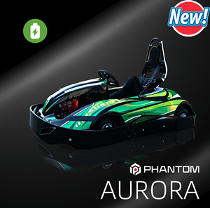 Go Karts Eléctricos de 2000W para Adultos, 45km/h, Drift Gocart, Batería de Litio Ferrofosfato, Motor sin Escobillas de Tracción Media, <span class=keywords><strong>Karting</strong></span> para Adolescentes - Product Image 1