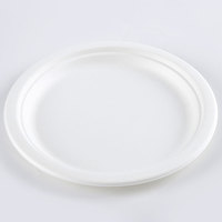 Bagasse de canne à sucre compostable personnalisée ensemble de vaisselle jetable en paille de blé assiette à déjeuner biodégradable en plein air à usage domestique
