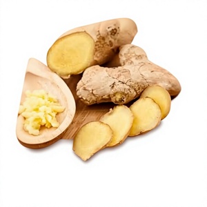 Bolsitas de Té Orgánico Zen de Jengibre y Cúrcuma, Equilibran Cuerpo, Mente y Alma con una Delicada Infusión Especiada para Momentos de Mindfulness y Paz - Product Image 1