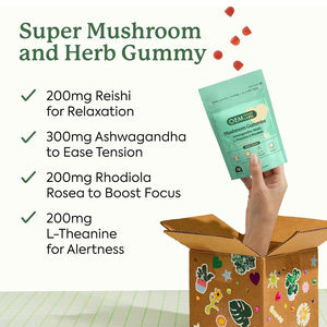 Gomas de Cogumelo OEM com Ashwagandha, Reishi, L-Teanina e Rhodiola Rosea para Suporte ao Bem-Estar, Calma, Humor, Relaxamento e Equilíbrio - Product Image 3